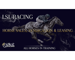 LSL RACING .